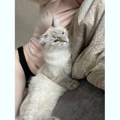 ��� ������� ������ � �������� � ������� 